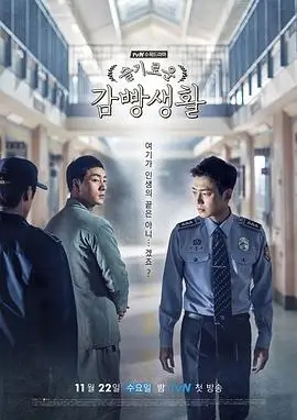 山海情 影视深度解析